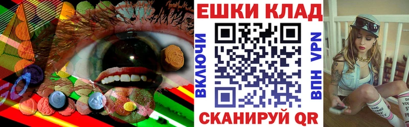 наркошоп  Зеленогорск  Ecstasy ешки 