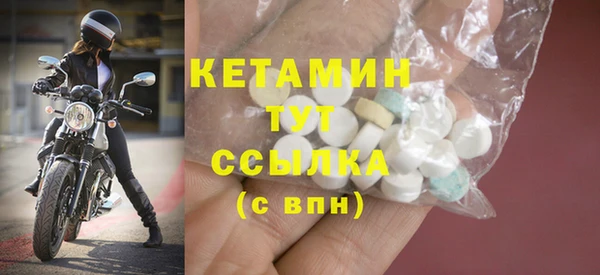 стаф Дмитриев