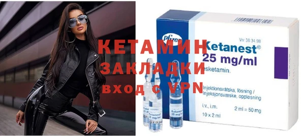 стаф Дмитриев