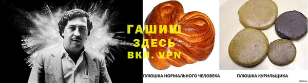стаф Дмитриев