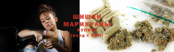 стаф Дмитриев