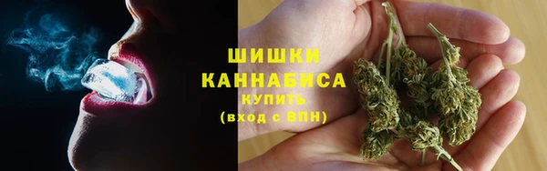 стаф Дмитриев