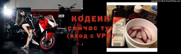 стаф Дмитриев