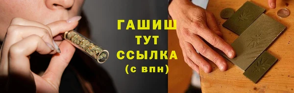 стаф Дмитриев