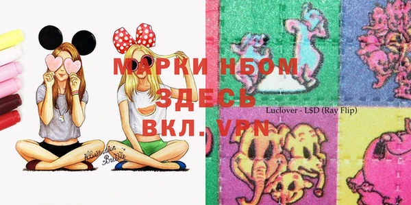 стаф Дмитриев