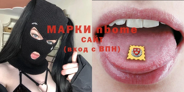 стаф Дмитриев