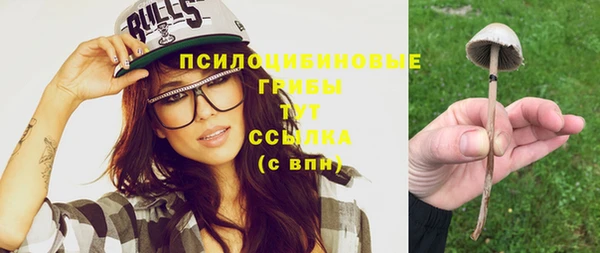 стаф Дмитриев