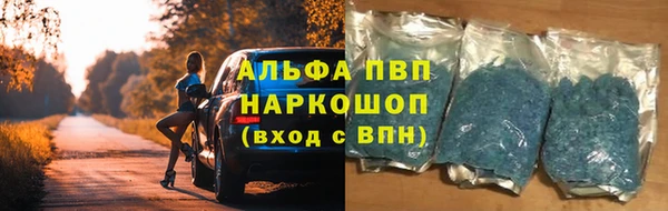стаф Дмитриев