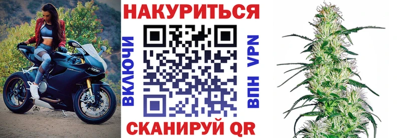 Бошки Шишки семена  ОМГ ОМГ ссылки  Зеленогорск  дарк нет клад  что такое  